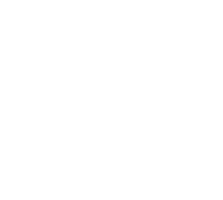 Secunnix logosu